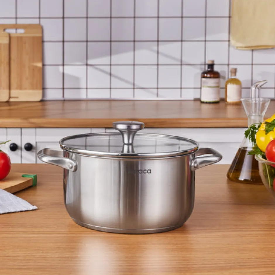 Karaca Stahltopf-Elite Edelstahl-Induktions-Kochtopf mit Deckel, 22 cm, Silber