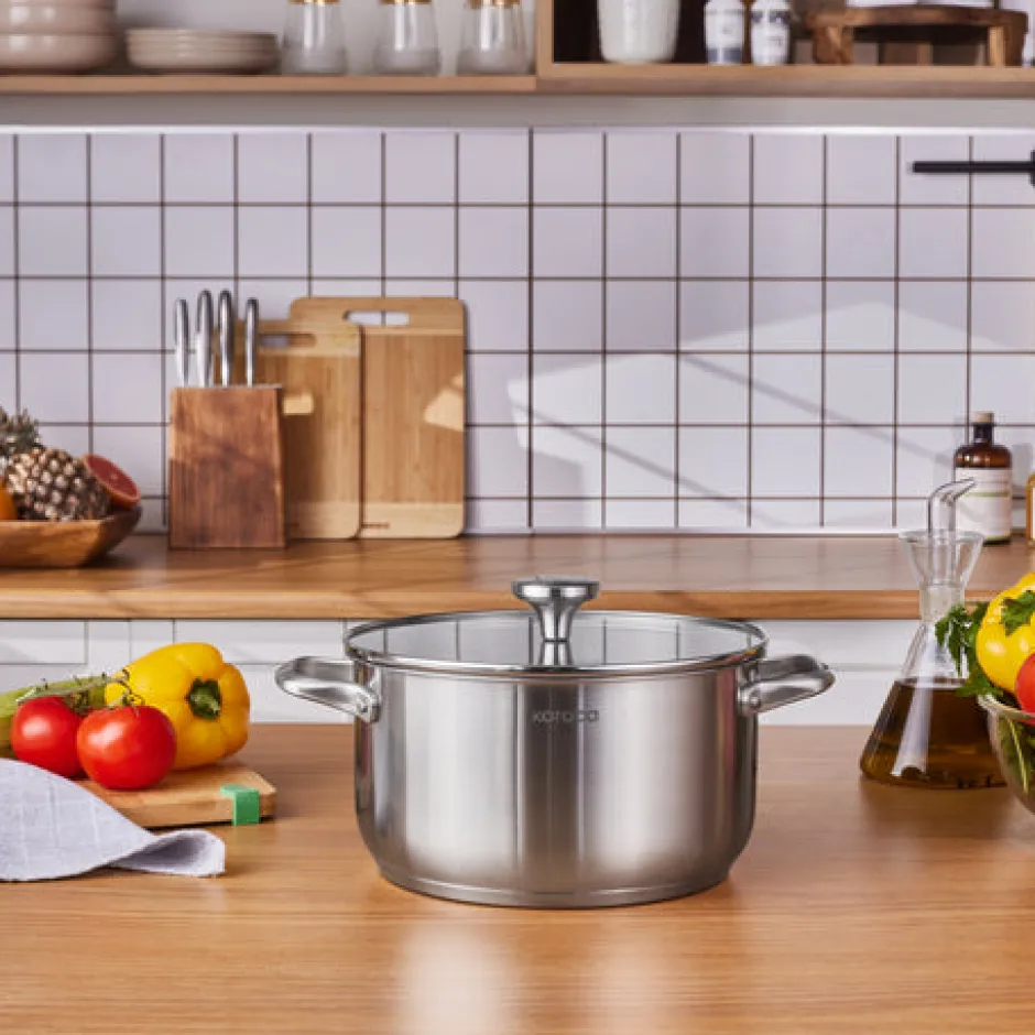 Karaca Stahltopf-Elite Edelstahl-Induktions-Kochtopf mit Deckel, 24 cm, Silber