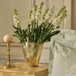 Karaca Vasen-Home Jolie Vase 23X13,5X23 cm Gold